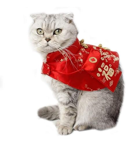 Amazon | ネコのお洋服屋さん キャットプリン 猫服 キャットプリン